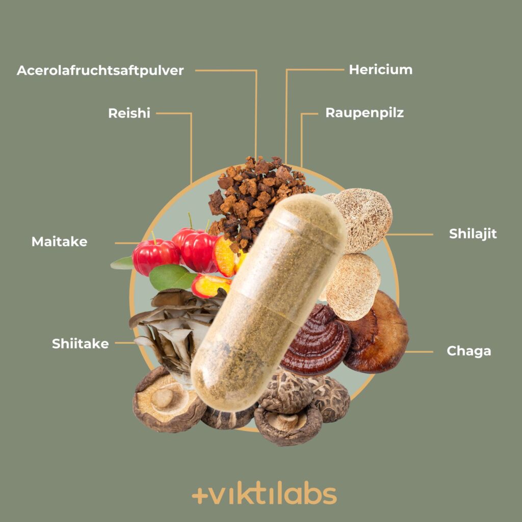 MykoBalance® von Viktilabs