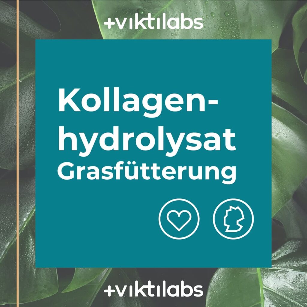 Viktilabs Kollagen Hydrolysat