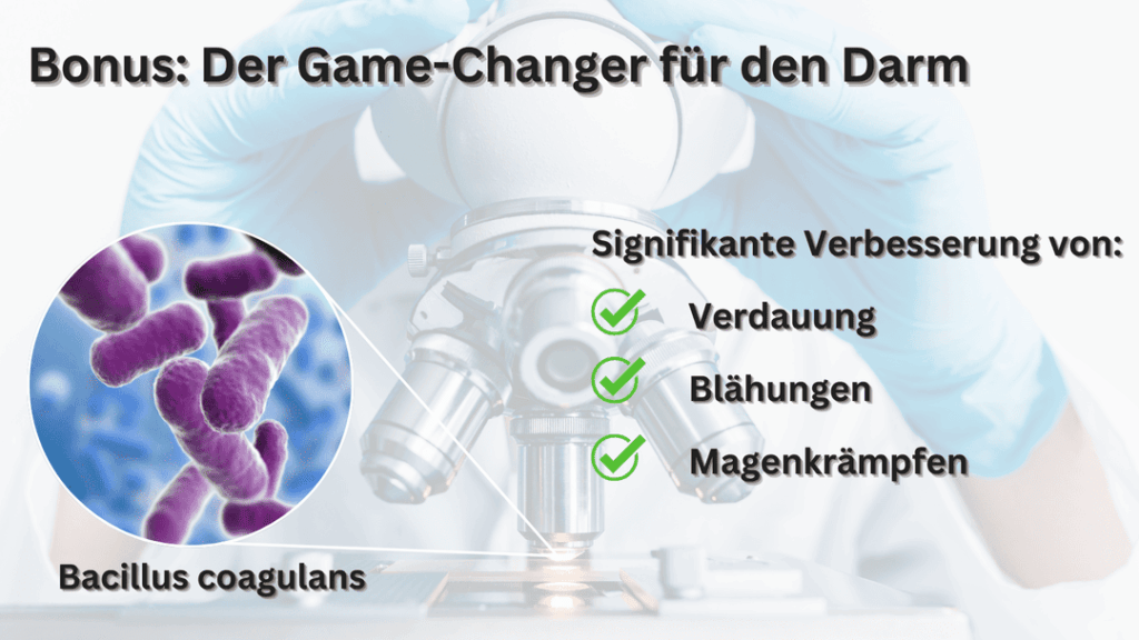 Muskelmythos und Blähbauch - Pflanzenprotein PurePlant Protein