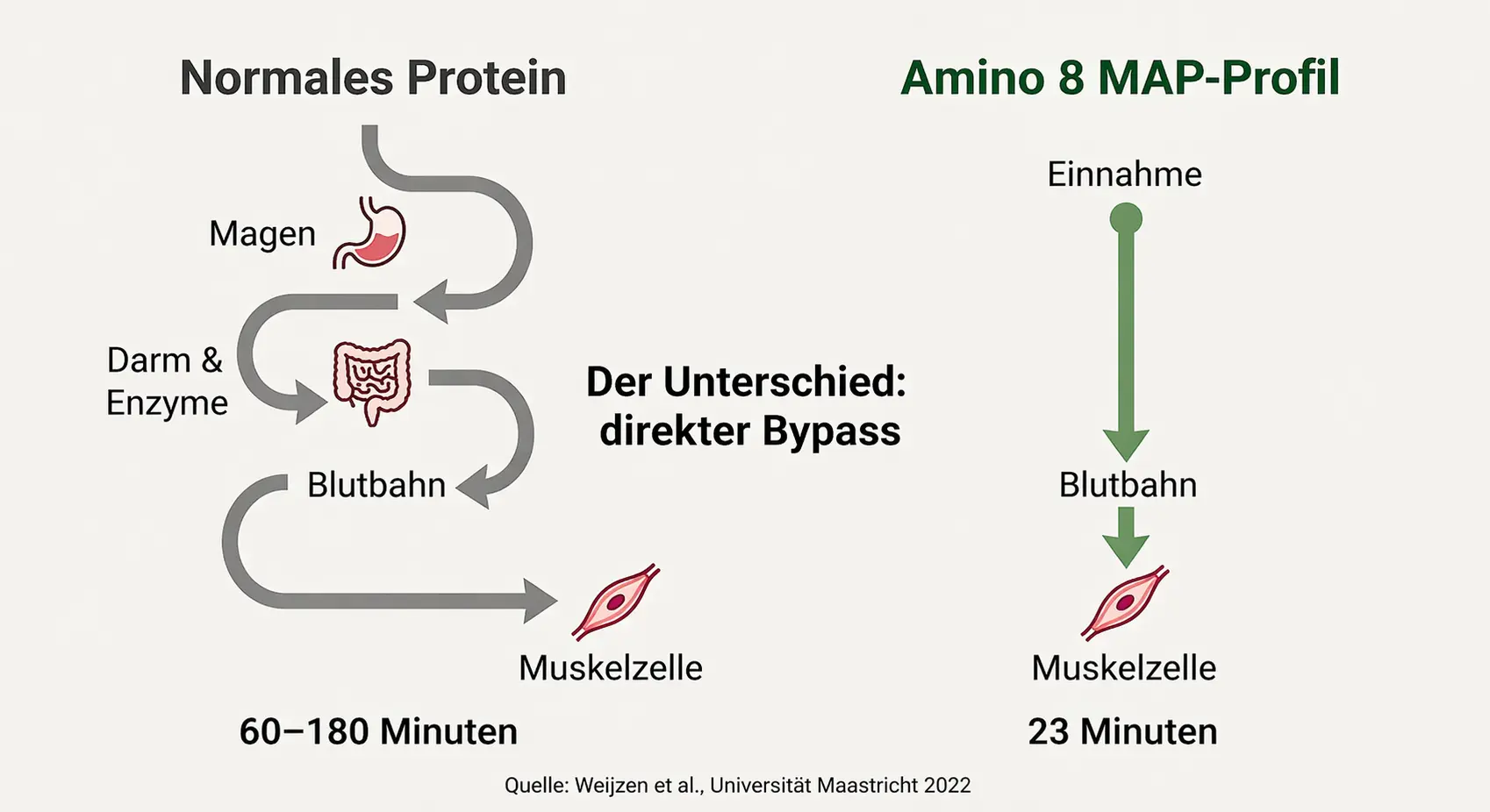 MAP-Profil Bypass-System Illustration