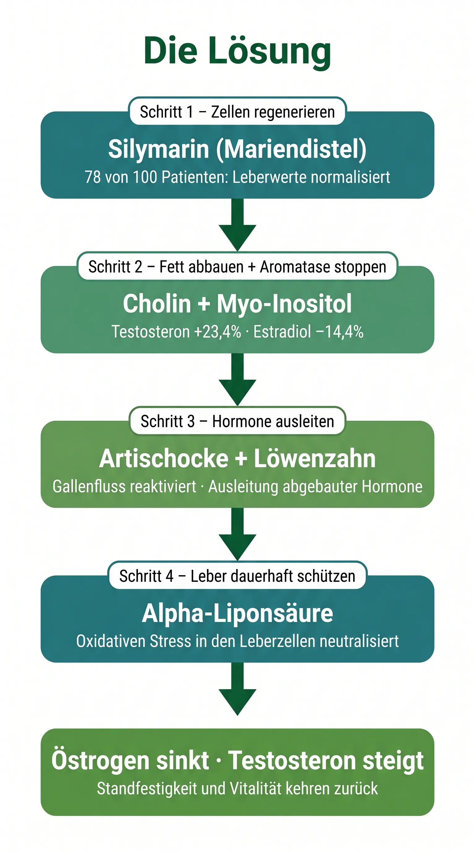 Leber Komplex Daily Produktnahaufnahme Inhaltsstoffe