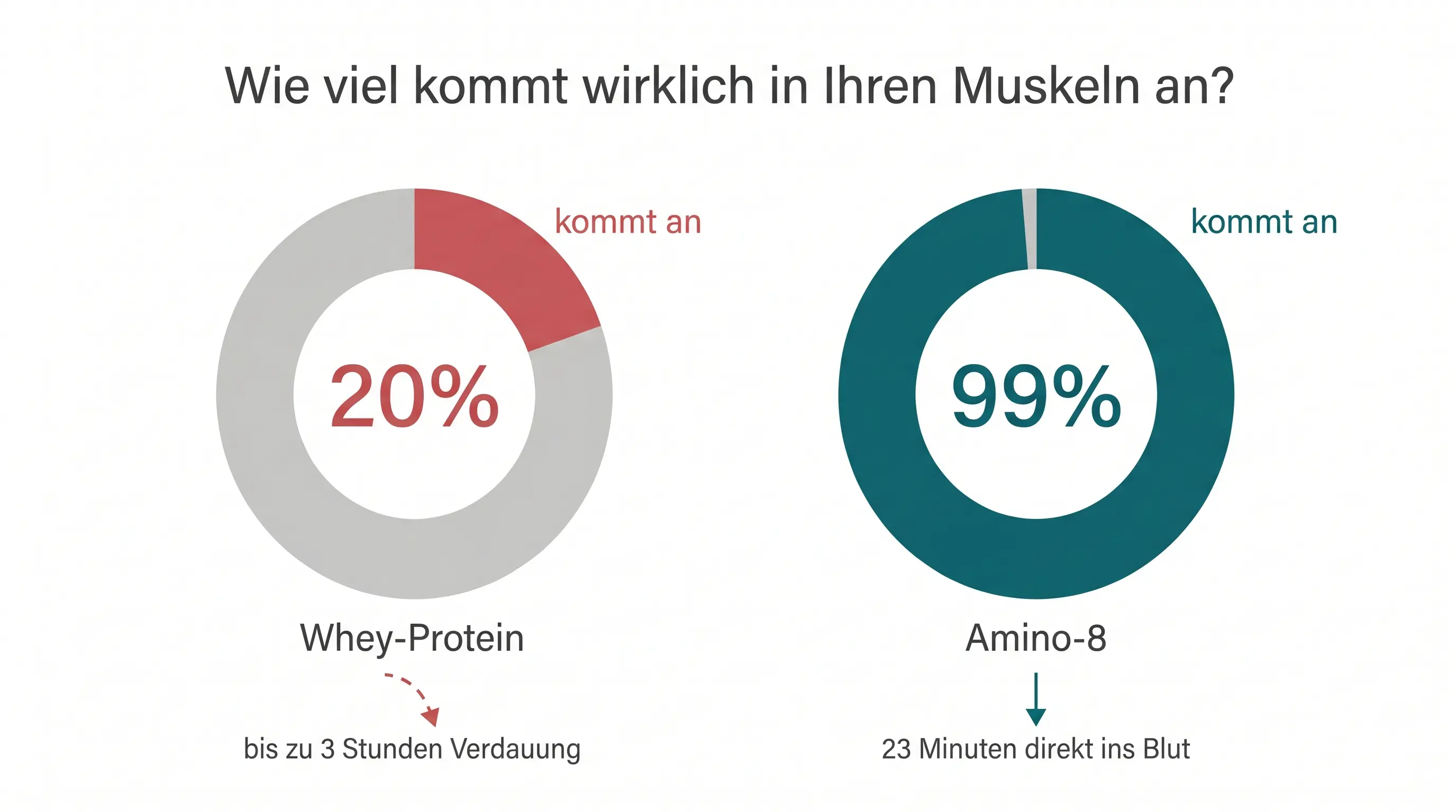 Amino 8 von Viktilabs – Produktnahaufnahme