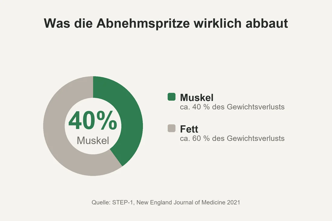 Was die Abnehmspritze wirklich abbaut: rund 40 Prozent Muskel