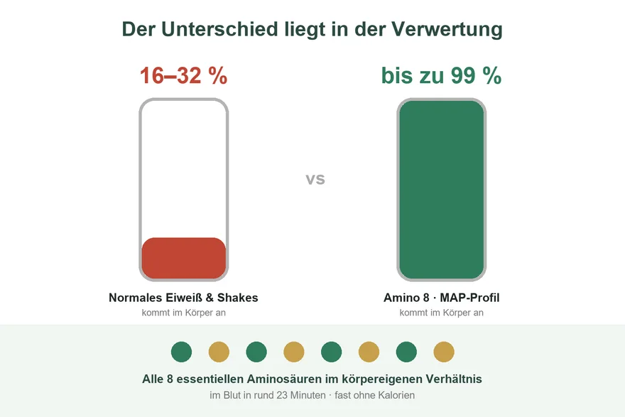 Verwertung von Nahrungsprotein 16–32 % gegenüber 99 % bei Amino 8