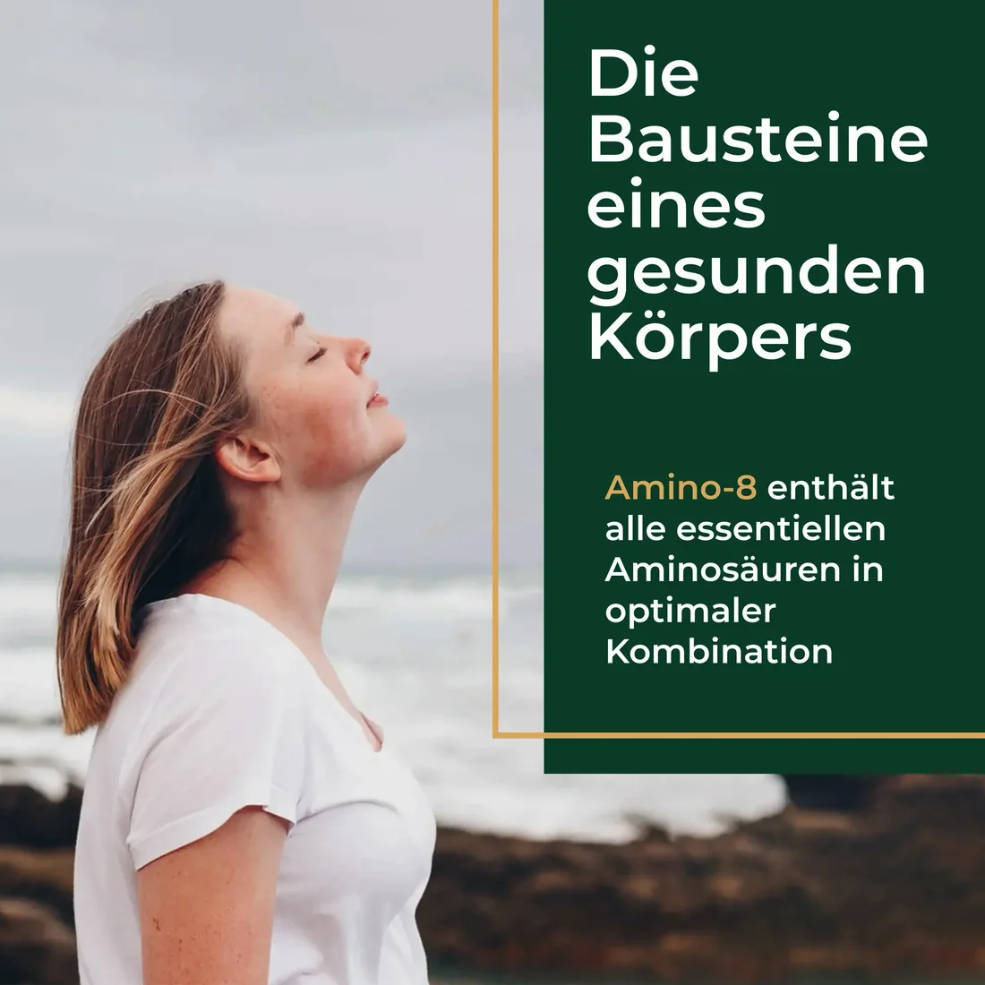 Amino-8 Anwendung und Inhaltsstoffe