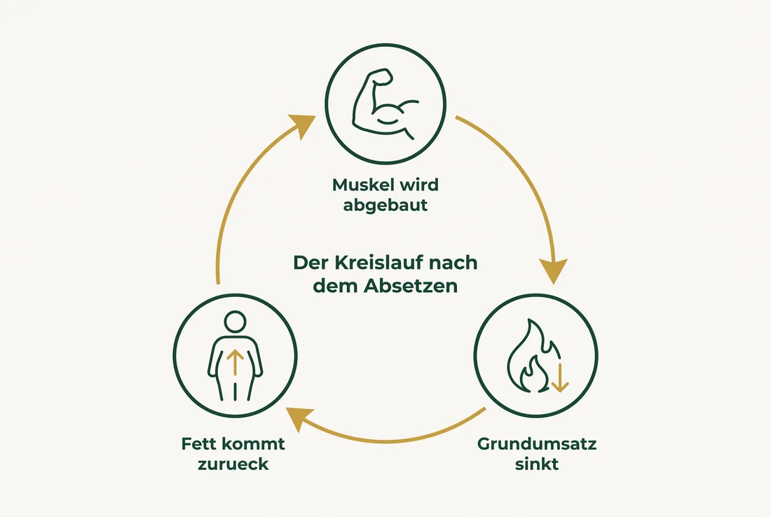 Der Kreislauf nach dem Absetzen