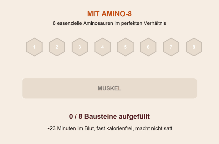 Grafik: 8 essenzielle Aminos&auml;uren sch&uuml;tzen den Muskel