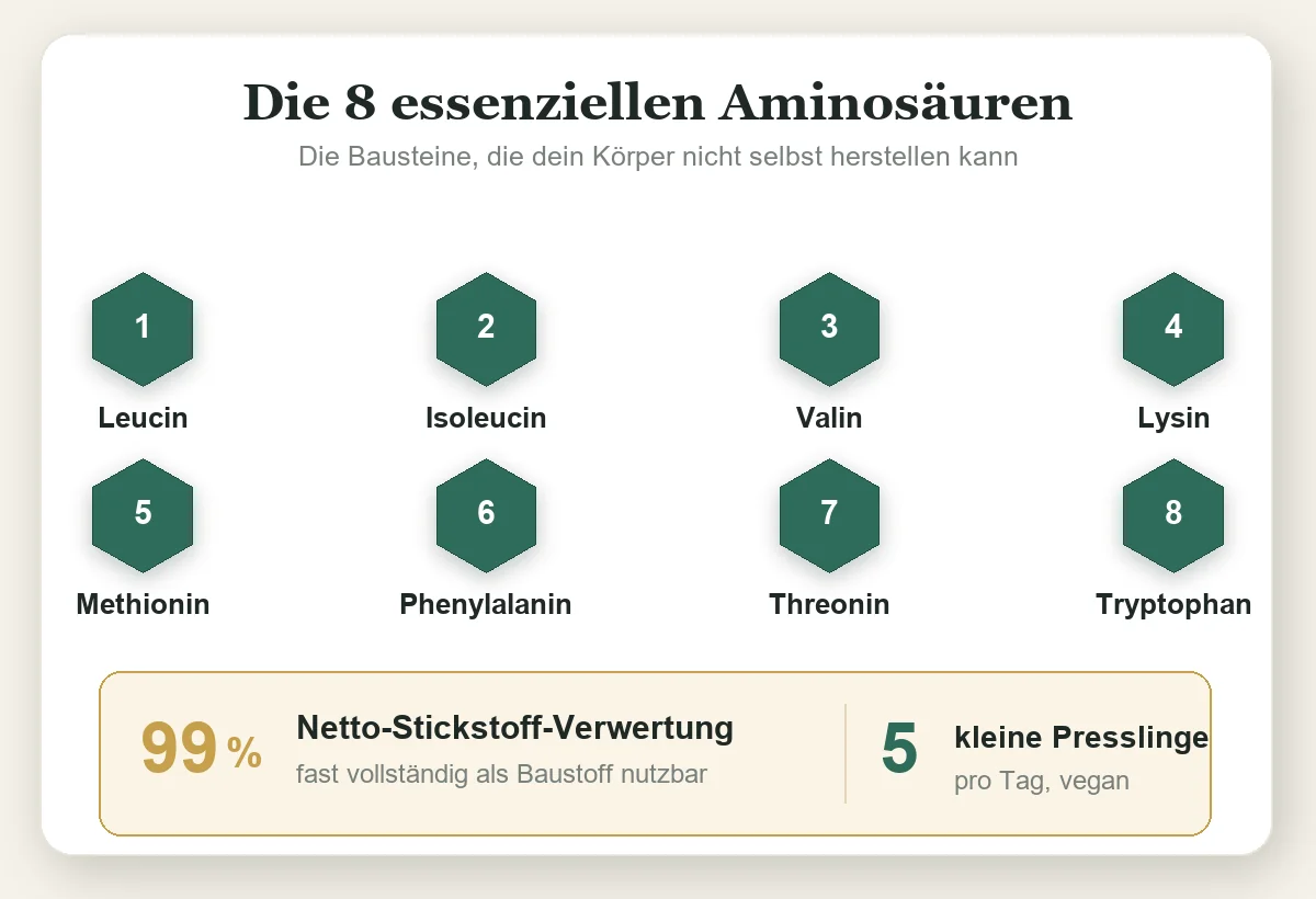 Die acht essenziellen Aminosäuren und 99 Prozent Verwertung