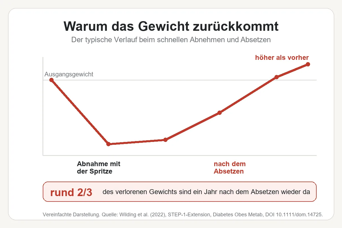 Der typische Gewichtsverlauf: erst runter, dann rund zwei Drittel wieder zurück