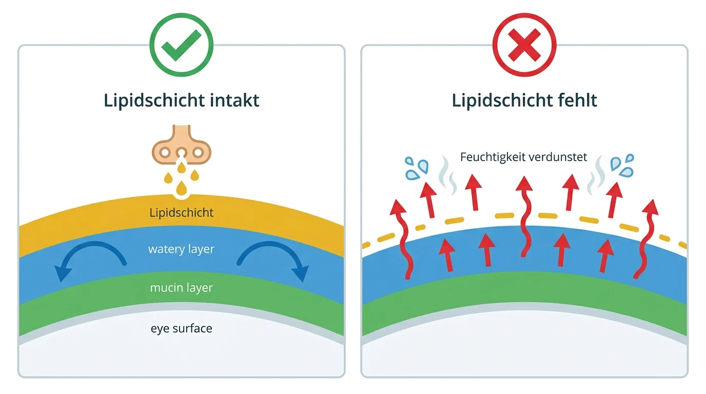 Viktilabs Vegane Omega-3 Kapseln Nahaufnahme